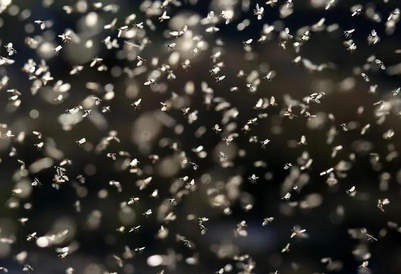 Un gráfico que ilustra el aumento del ROI en email marketing a través de secuencias automatizadas.